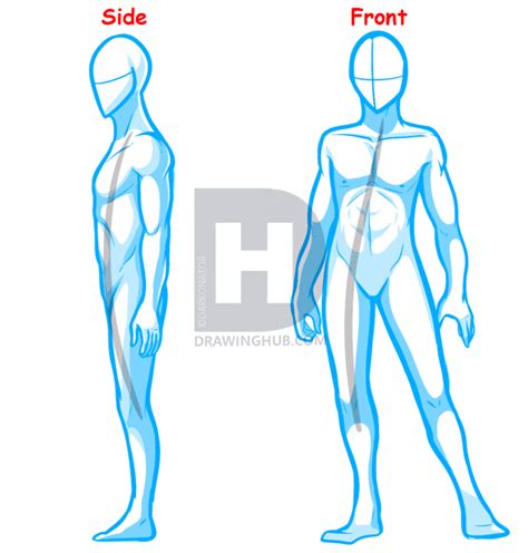 Simple Human Body Drawing Free Download On Clipartmag