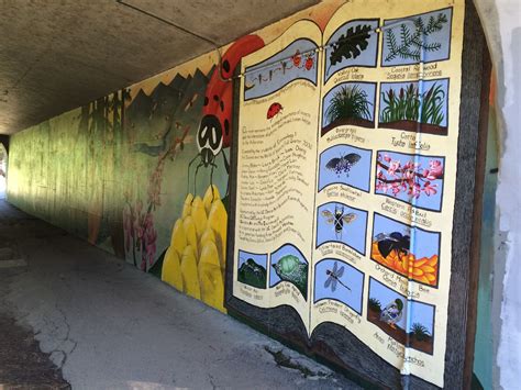 Uc Davis Arboretum Mural Environmental Ethics Field Trips Arboretum