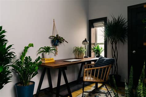 Best Plants For Your Office Bloomscape Your Space Bloomscape