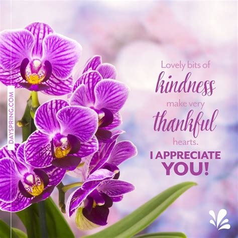 Appreciation Kindness Thank You Quotes Shortquotes Cc