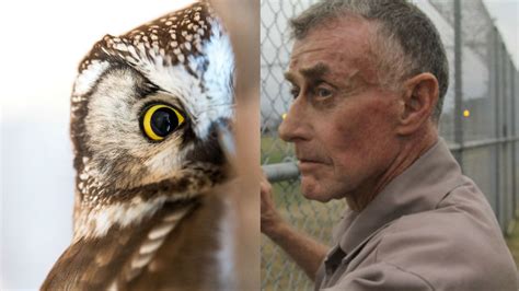 Was Kathleen Peterson Killed By An Owl The Theory The Staircase Wont