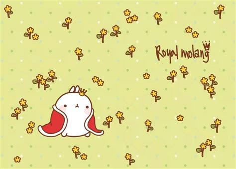 Amazon music stream millions of songs: Molang | Molang, Molang wallpaper, Cute characters