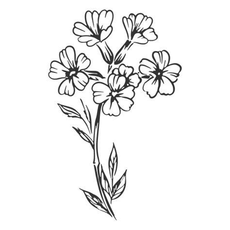 Bouquet Hand Drawn Flowers Png And Svg Design For T Shirts