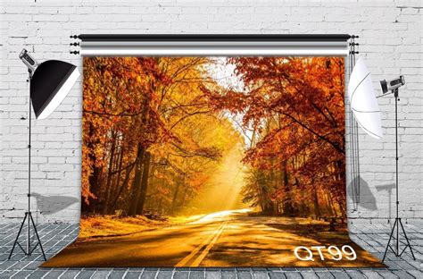 Greendecor Polyster 7x5ft Golden Path Fall Scenery Photography
