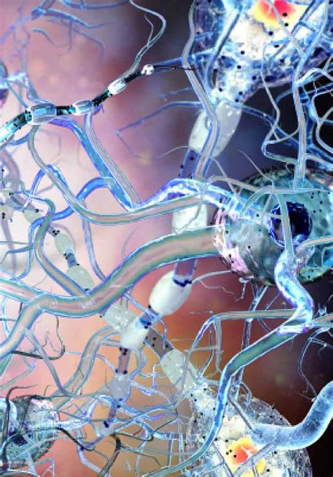 Role Of Connexin Hemichannels In Neurodegeneration IntechOpen