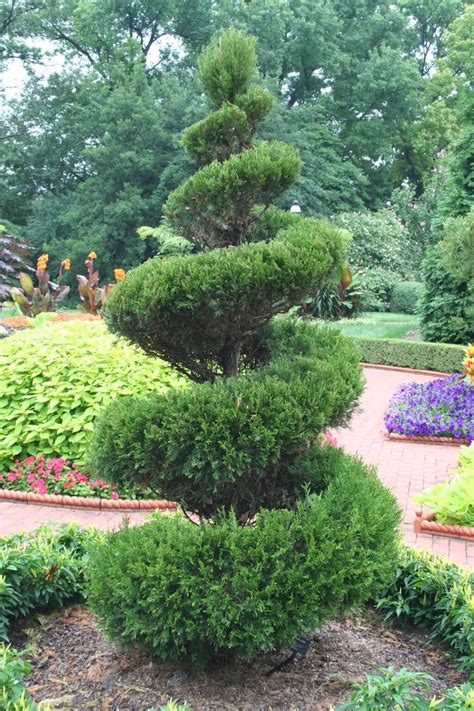 Front Garden Topiary Ideas Check More At Arch20club201804