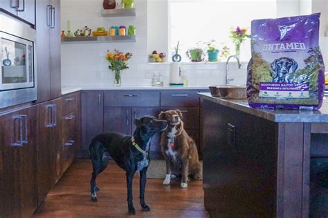 Dry food, wet food, dog treats; Untamed 4health dog food-3 - Follow Your Detour