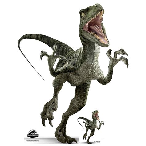 Velociraptor Charlie Officiële Jurassic World Levensgrote Kartonnen Uitsnede Standee