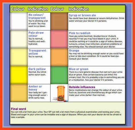 Urine Color Chart What Color Is Normal What Does It Mean Herbs Health