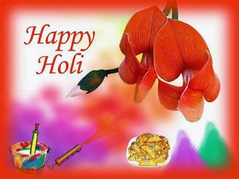 Colorful Holi Pictures Dhuleti Holi Hd Images Festival Chaska