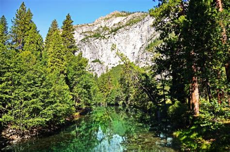 Clear River In A Forest With Rock Cliff In Yosemite National Park