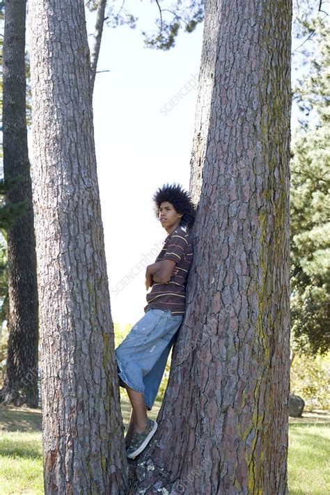 Teenager Leaning Against A Tree Stock Image F0012303 Science