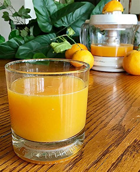 Fresh Orange Juice Recipe Orange Juice Recipes Orange Recipes Homemade Orange Juice