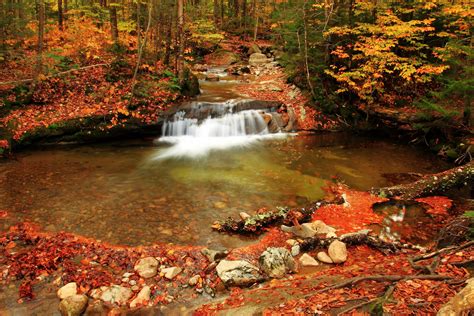 Seasons Autumn Forests Waterfalls Foliage Nature Hd Desktop Wallpaper