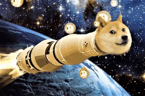 These Dogecoin Memes Are Going Straight To The Moon Dodgecoin Memes