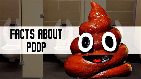 Poop Facts The Longest Poop German Soldiers Apollo 11 Youtube