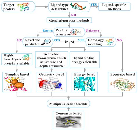 Molecules Free Full Text In Silico Methods For Identification Of