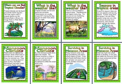Geography Posters Ks2 World Climates Features Of Tropical Climates