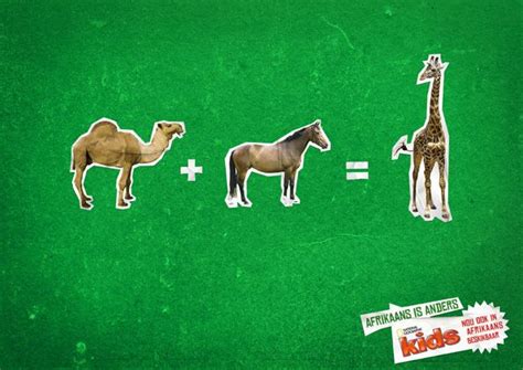 They walk thousands of paces and never seem to tire. Afrikaans - Giraffe in Afrikaans is called kameelperd ...