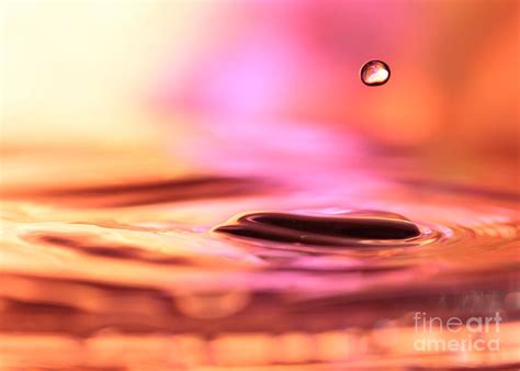 Little Drop Of Water Photograph By Sabrina L Ryan Fine Art America