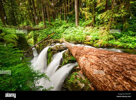 Sol Duc Falls In Olympic National Park Washington Usa Stock Photo Alamy