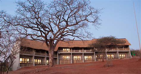 Chobe Bush Lodge In Kasane Near Chobe National Park Luxury Safari In