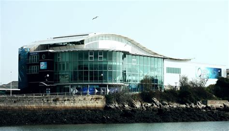 National Marine Aquarium Aquarium In Plymouth Plymouth Visit Plymouth