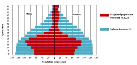Papp101 S03 How Demographers Think About Populations Age And Sex