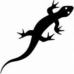 Lizard Reptile Icon Gecko Svg Clipart Icons
