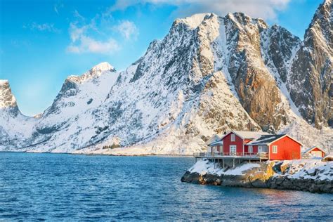 Traditional Norwegian Red Wooden Houses On The Shore Of Reinefjorden On
