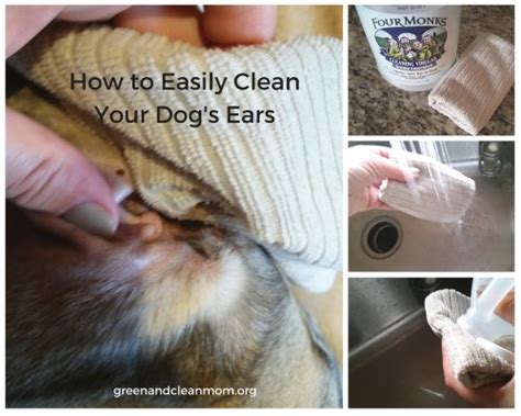 Clean Your Dogs Ears Naturally With Vinegar
