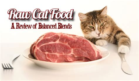 Darwin's raw cat food review. Raw Cat Food - A Review of Balanced Blends - Feline ...