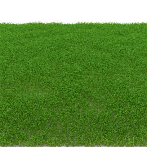 3d Rectangular Grass Patch