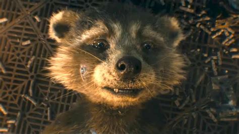 Baby Rocket Promises To Break Your Heart In New ‘guardians Of The