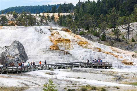 Mammoth Hot Springs Worldatlas