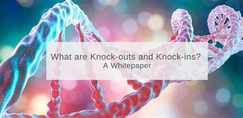 What Are Knock Outs And Knock Ins Invivo Biosystems