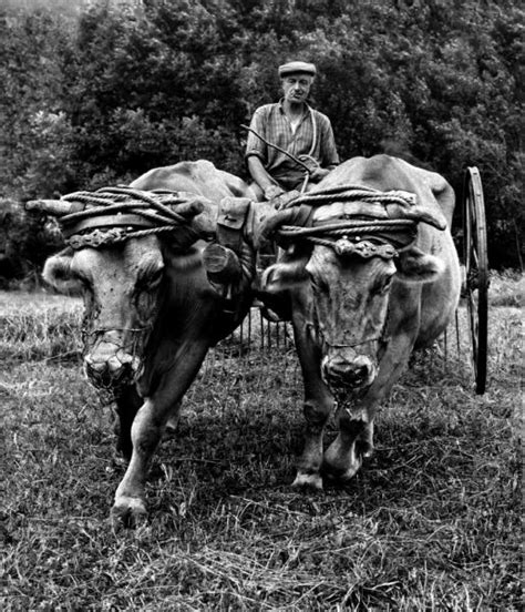 Instants De Vie Photos Anciennes Images Dépoque Photo Noir Et Blanc