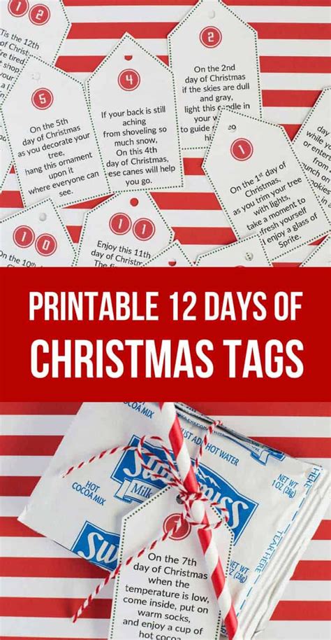 Simple 12 Days Of Christmas T Ideas And Printable Tags 2023