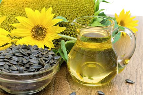 Make Your Own Cooking Oil With Sunflower Seeds Ways To Survive