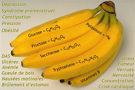 bienfaits pour la santé la banane et ses vertus incroyables albayane