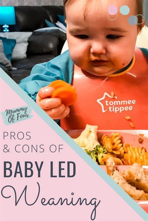 Baby Led Weaning Or Spoon Feeding What You Really Need To Know In