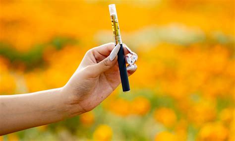 Best vape pens for 510 oil cartridges: cannabis vape