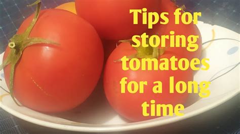 Tips For Storing Tomatoes For A Long Time Youtube