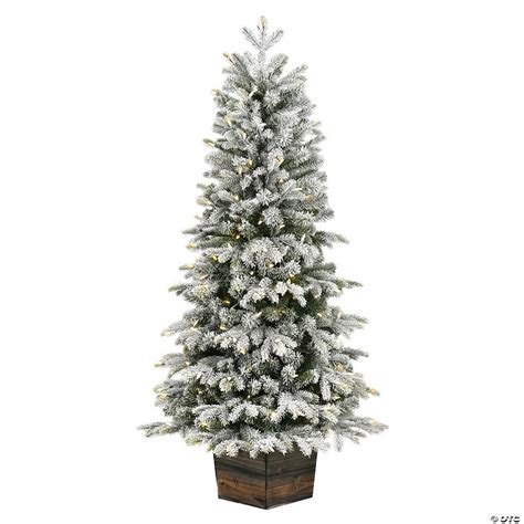 Vickerman 5 Frosted Wendell Slim Potted Pine Artificial Christmas Tree