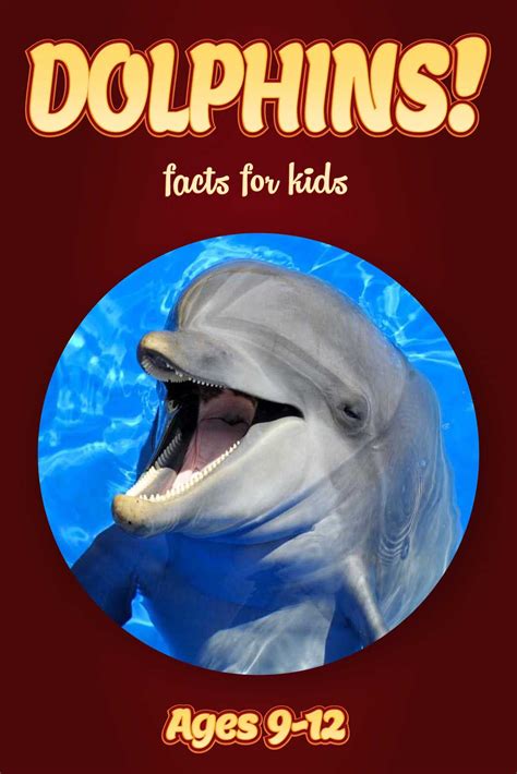 Dolphin Facts Kids Non Fiction Book Ages 9 12 Clouducated