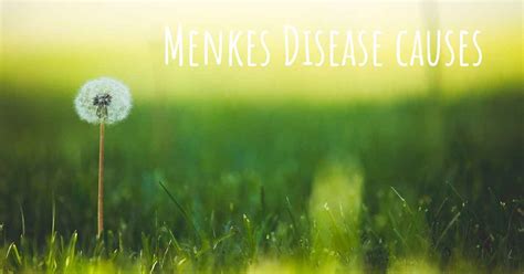 Which Are The Causes Of Menkes Disease