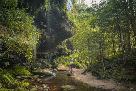 The Top 5 Hikes In The Blue Mountains Wandering Wheatleys