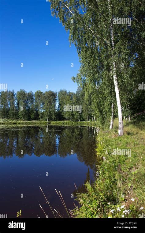 Lake Scenery In Lappeenranta Finland Stock Photo Alamy