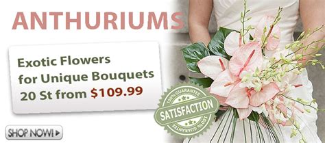 Buy flowers wholesale flowers direct at trade prices. Fresh Cut Wholesale Flowers Online for Sale