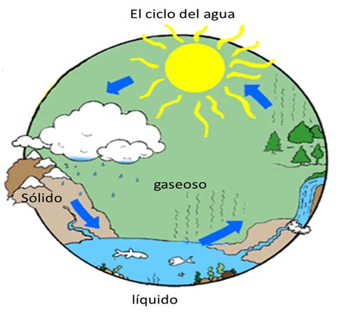 Siclos Geografia Del Medio Ambiente